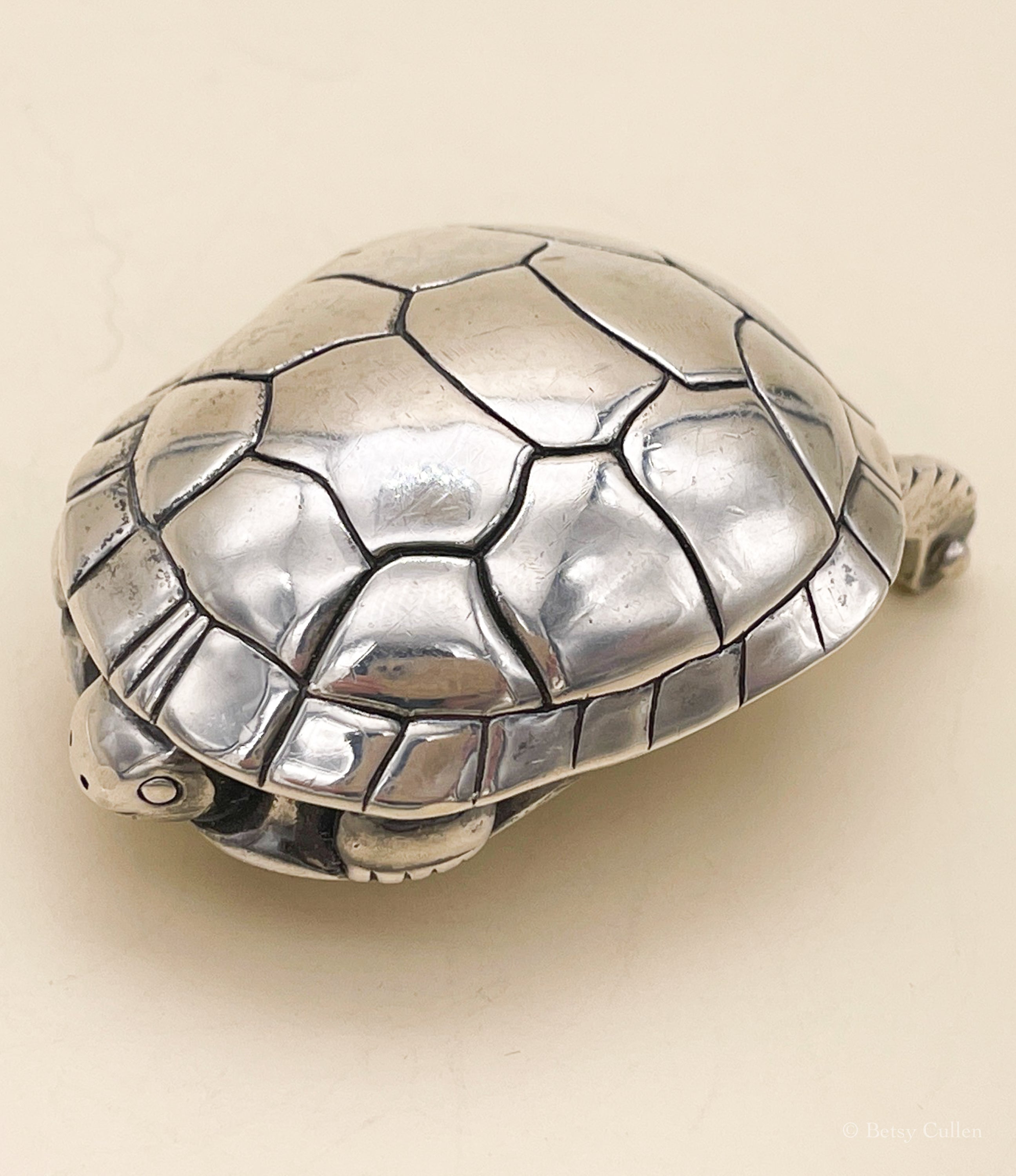 Turtle shop belt buckle